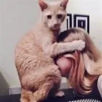 Merle massage-érotique